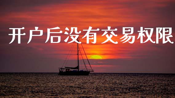 开户后没有交易权限_https://m.lcpcjs.com_白银期货保证金_第1张