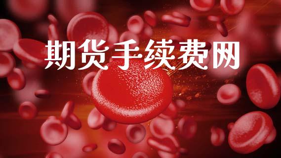 期货手续费网_https://m.lcpcjs.com_期货交易时间_第1张