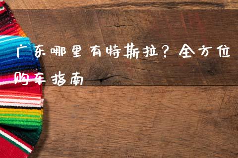 广东哪里有特斯拉？全方位购车指南_https://m.lcpcjs.com_期货交易时间_第1张