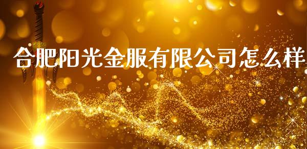合肥阳光金服有限公司怎么样_https://m.lcpcjs.com_恒指期货保证金_第1张