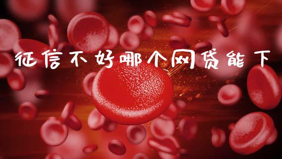 征信不好哪个网贷能下_https://m.lcpcjs.com_期货交易_第1张