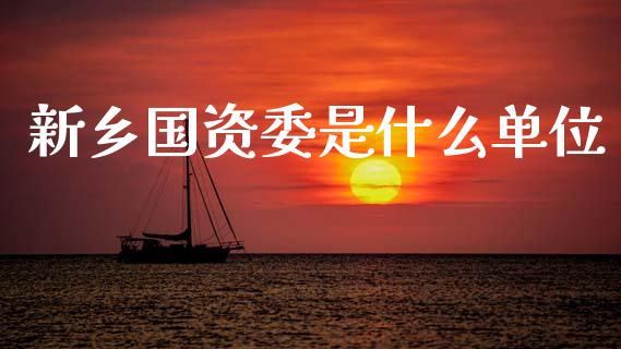新乡国资委是什么单位_https://m.lcpcjs.com_恒指期货保证金_第1张