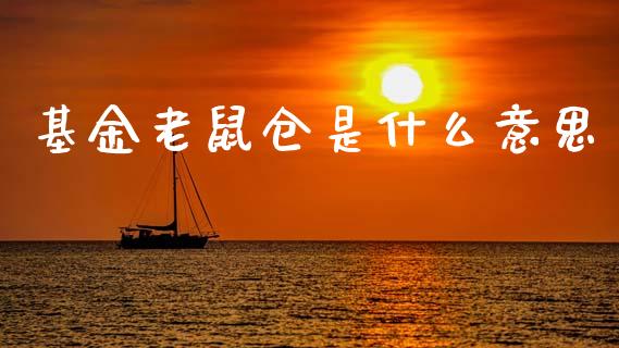基金老鼠仓是什么意思_https://m.lcpcjs.com_恒指期货保证金_第1张