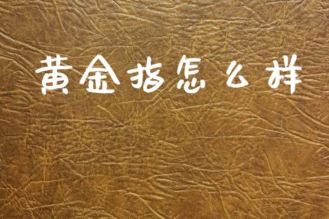 黄金指怎么样_https://m.lcpcjs.com_期货交易时间_第1张