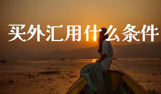 买外汇用什么条件_https://m.lcpcjs.com_期货交易时间_第1张