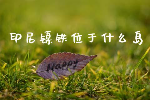 印尼镍铁位于什么岛_https://m.lcpcjs.com_白银期货保证金_第1张