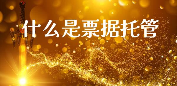 什么是票据托管_https://m.lcpcjs.com_白银期货保证金_第1张