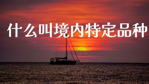 什么叫境内特定品种_https://m.lcpcjs.com_期货交易时间_第1张