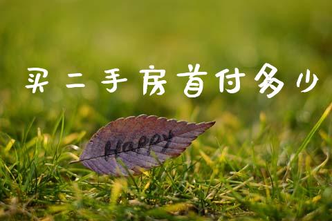 买二手房首付多少_https://m.lcpcjs.com_白银期货保证金_第1张