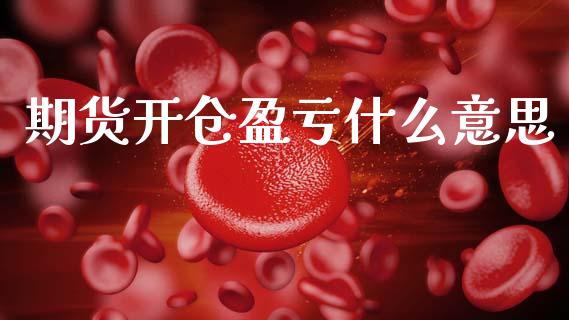 期货开仓盈亏什么意思_https://m.lcpcjs.com_白银期货保证金_第1张