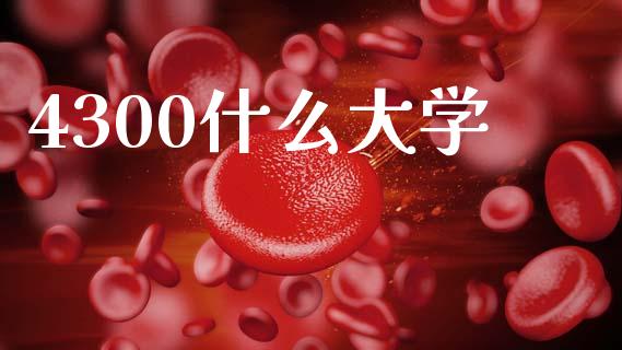 4300什么大学_https://m.lcpcjs.com_白银期货保证金_第1张