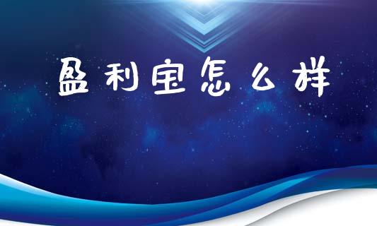 盈利宝怎么样_https://m.lcpcjs.com_期货交易_第1张