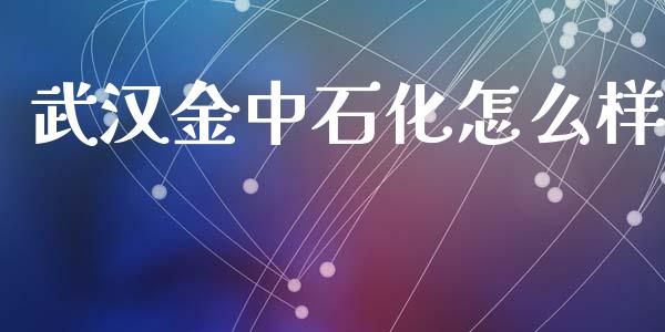 武汉金中石化怎么样_https://m.lcpcjs.com_恒指期货保证金_第1张