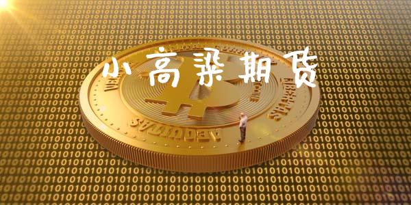 小高粱期货_https://m.lcpcjs.com_期货交易时间_第1张