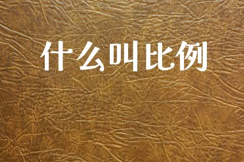 什么叫比例_https://m.lcpcjs.com_期货交易_第1张