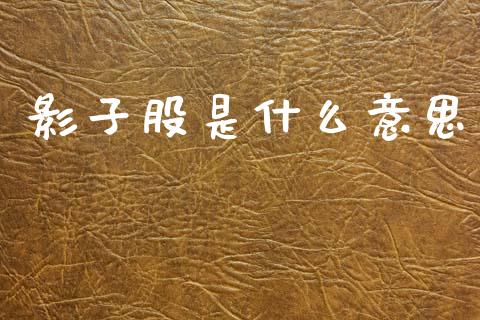 影子股是什么意思_https://m.lcpcjs.com_恒指期货保证金_第1张
