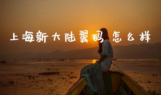 上海新大陆翼码 怎么样_https://m.lcpcjs.com_期货交易_第1张