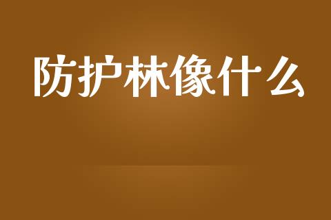 防护林像什么_https://m.lcpcjs.com_期货交易时间_第1张