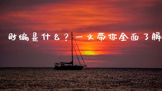财编是什么？一文带你全面了解_https://m.lcpcjs.com_白银期货保证金_第1张