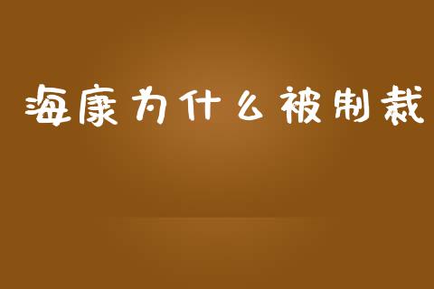 海康为什么被制裁_https://m.lcpcjs.com_恒指期货保证金_第1张