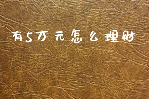 有5万元怎么理财_https://m.lcpcjs.com_白银期货保证金_第1张