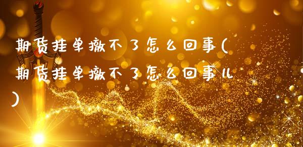 期货挂单撤不了怎么回事(期货挂单撤不了怎么回事儿)_https://m.lcpcjs.com_期货交易时间_第1张