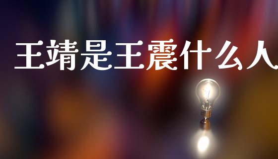 王靖是王震什么人_https://m.lcpcjs.com_恒指期货保证金_第1张