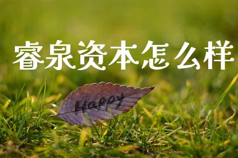 睿泉资本怎么样_https://m.lcpcjs.com_期货交易时间_第1张