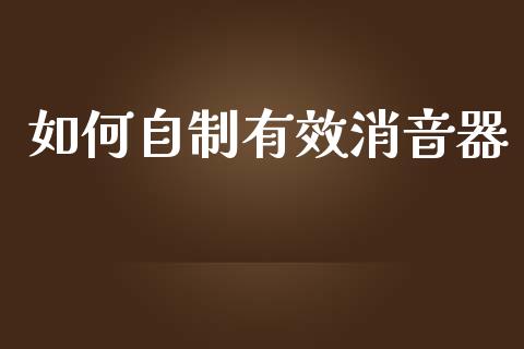 如何自制有效消音器_https://m.lcpcjs.com_期货交易时间_第1张