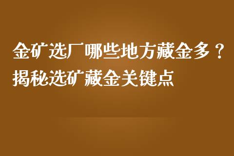 金矿选厂哪些地方藏金多？揭秘选矿藏金关键点_https://m.lcpcjs.com_期货交易_第1张