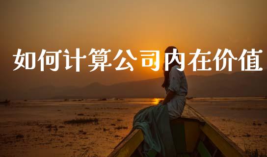 如何计算公司内在价值_https://m.lcpcjs.com_白银期货保证金_第1张