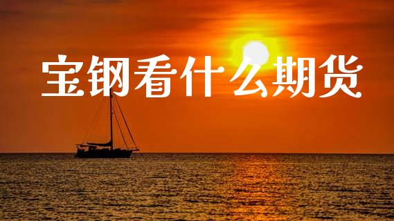 宝钢看什么期货_https://m.lcpcjs.com_期货交易_第1张