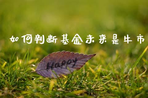 如何判断基金未来是牛市_https://m.lcpcjs.com_期货交易时间_第1张