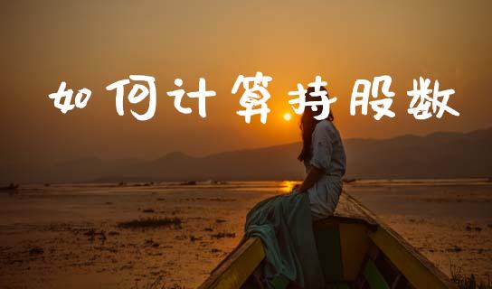 如何计算持股数_https://m.lcpcjs.com_白银期货保证金_第1张