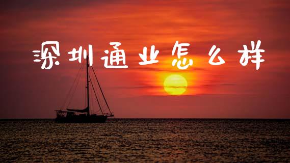 深圳通业怎么样_https://m.lcpcjs.com_恒指期货保证金_第1张
