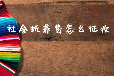 社会抚养费怎么征收_https://m.lcpcjs.com_恒指期货保证金_第1张