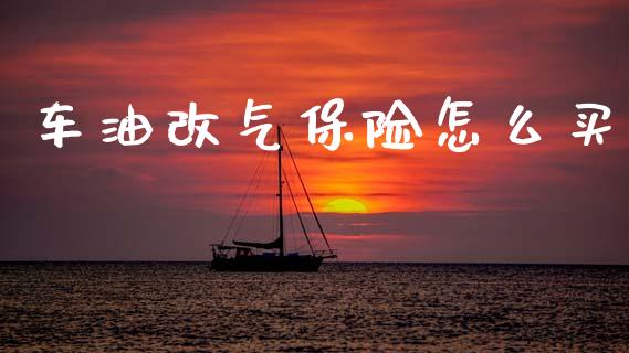车油改气保险怎么买_https://m.lcpcjs.com_白银期货保证金_第1张