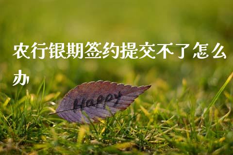 农行银期签约提交不了怎么办_https://m.lcpcjs.com_期货交易时间_第1张