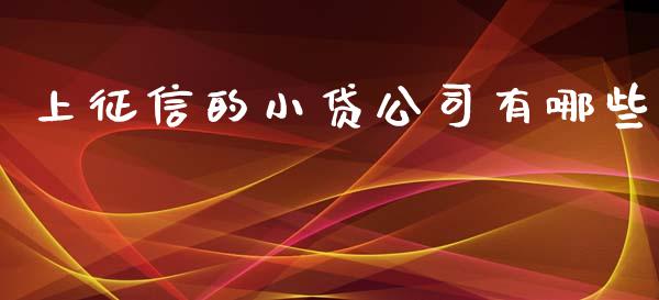 上征信的小贷公司有哪些_https://m.lcpcjs.com_期货交易_第1张