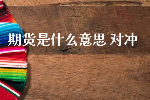 期货是什么意思 对冲_https://m.lcpcjs.com_期货交易_第1张