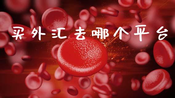 买外汇去哪个平台_https://m.lcpcjs.com_恒指期货保证金_第1张