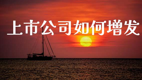 上市公司如何增发_https://m.lcpcjs.com_期货交易_第1张