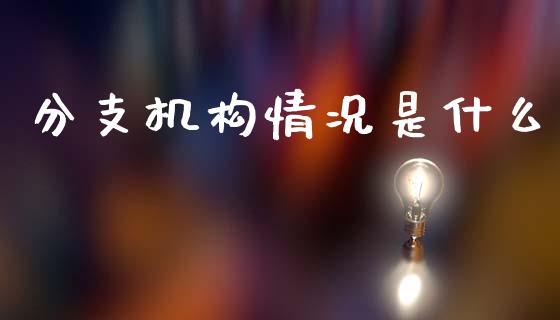 分支机构情况是什么_https://m.lcpcjs.com_恒指期货保证金_第1张
