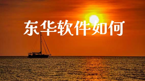 东华软件如何_https://m.lcpcjs.com_恒指期货保证金_第1张