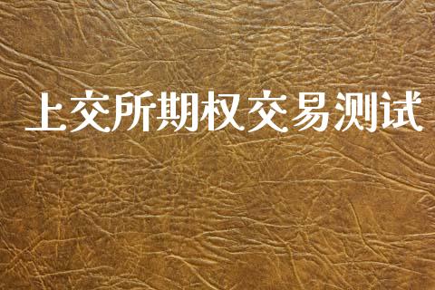上交所期权交易测试_https://m.lcpcjs.com_恒指期货保证金_第1张
