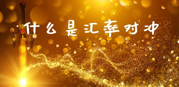 什么是汇率对冲_https://m.lcpcjs.com_期货交易_第1张