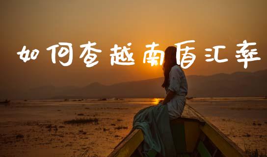 如何查越南盾汇率_https://m.lcpcjs.com_期货交易_第1张