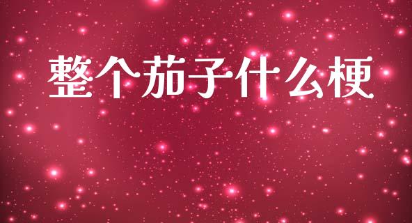 整个茄子什么梗_https://m.lcpcjs.com_期货交易时间_第1张