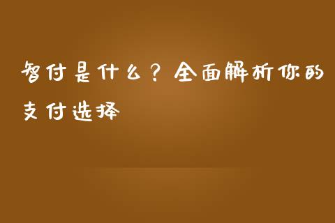 智付是什么？全面解析你的支付选择_https://m.lcpcjs.com_期货交易_第1张
