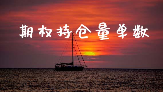 期权持仓量单数_https://m.lcpcjs.com_恒指期货保证金_第1张